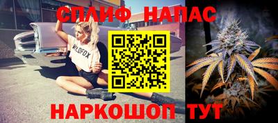 стафф Будённовск