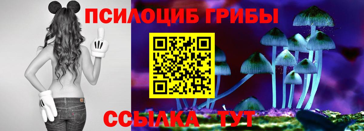 Среднеуральск  Псилоцибиновые грибы Psilocybe  Галлюциногенные грибы MAGIC MUSHROOMS  Вход с VPN 
